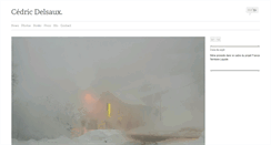 Desktop Screenshot of cedricdelsaux.com