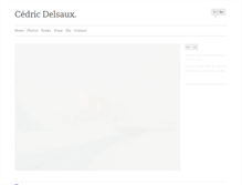 Tablet Screenshot of cedricdelsaux.com